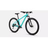VTT aluminium polyvalent avec Shimano Altus 2x9, suspension et freins hydrauliques.