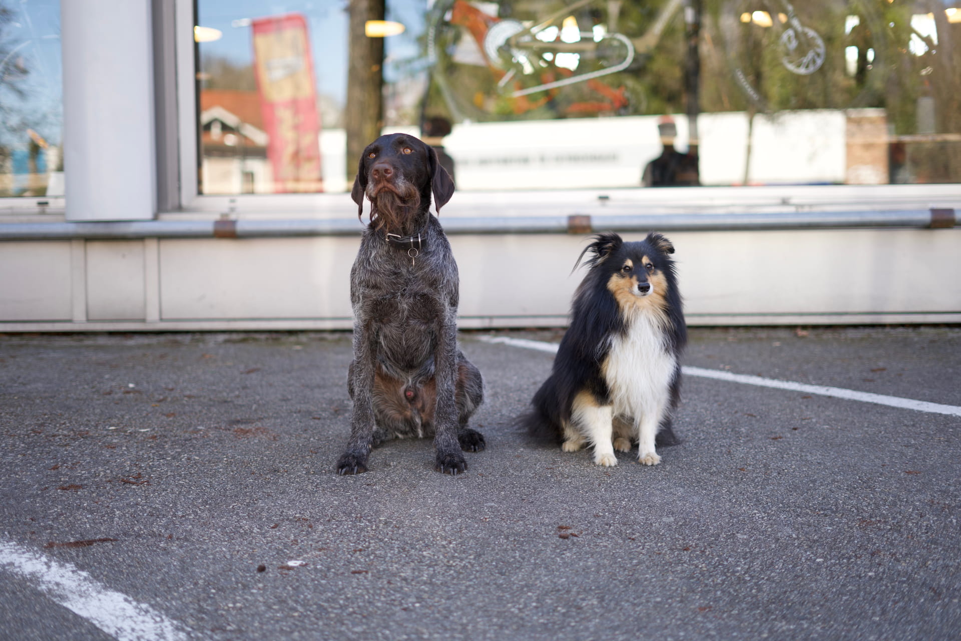 VÉLO DAYAK, PLUS DE 10 ANS D’EXPERTISE AU SERVICE DES CYCLISTES